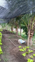 Fazenda/Sítios/Chácaras de 3 quartos, 6000m² no bairro Bairro Musacea, em Miracatu | Eu Corretor