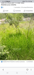 Lote/Terreno de 482m² no bairro Nova Trieste, em Jarinu | Eu Corretor