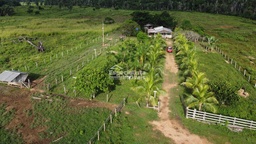 Fazenda/Sítios/Chácaras de 338000m² no bairro Nova Mutum Paraná, em Porto Velho | Eu Corretor