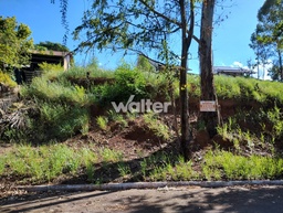 Lote/Terreno de 300m² no bairro Petrópolis, em Novo Hamburgo | Eu Corretor