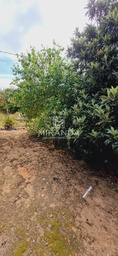 Fazenda/Sítios/Chácaras de 1 quarto, 100m² no bairro Centro, em Pilar do Sul | Eu Corretor