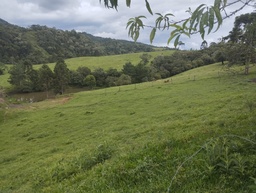 Fazenda/Sítios/Chácaras de no bairro Interior, em Ponte Alta | Eu Corretor