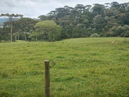 Fazenda/Sítios/Chácaras de no bairro Interior, em Ponte Alta | Eu Corretor