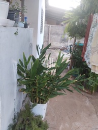 Casa de 2 quartos, no bairro Luizote de Freitas, em Uberlândia | Eu Corretor