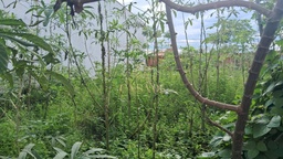 Lote/Terreno de 200m² no bairro Buritis, em Cacoal | Eu Corretor
