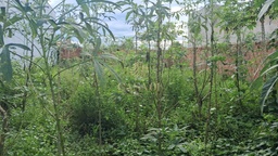 Lote/Terreno de 200m² no bairro Buritis, em Cacoal | Eu Corretor