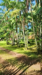 Fazenda/Sítios/Chácaras de 3 quartos, no bairro Maguari, em Benevides | Eu Corretor