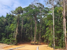 Lote/Terreno de 1500m² no bairro Loteamento Quintas de São José do Rio Negro, em Manaus | Eu Corretor