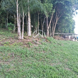 Lote/Terreno de 600m² no bairro Fenavinho, em Bento Gonçalves | Eu Corretor
