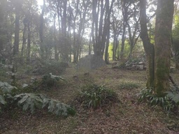 Lote/Terreno no bairro Ana Rech, em Caxias do Sul | Eu Corretor