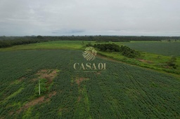 Fazenda/Sítios/Chácaras no bairro ZONA RURAL, em Seringueiras | Eu Corretor