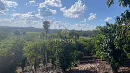 Fazenda/Sítios/Chácaras no bairro Área Rural de Cacoal, em Cacoal | Eu Corretor
