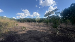 Fazenda/Sítios/Chácaras no bairro Área Rural de Cacoal, em Cacoal | Eu Corretor