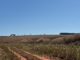 Fazenda/Sítios/Chácaras no bairro Palestina de Goiás , em Palestina de Goiás | Eu Corretor