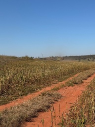 Fazenda/Sítios/Chácaras no bairro Palestina de Goiás , em Palestina de Goiás | Eu Corretor