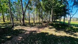 Fazenda/Sítios/Chácaras no bairro Área Rural de Cacoal, em Cacoal | Eu Corretor